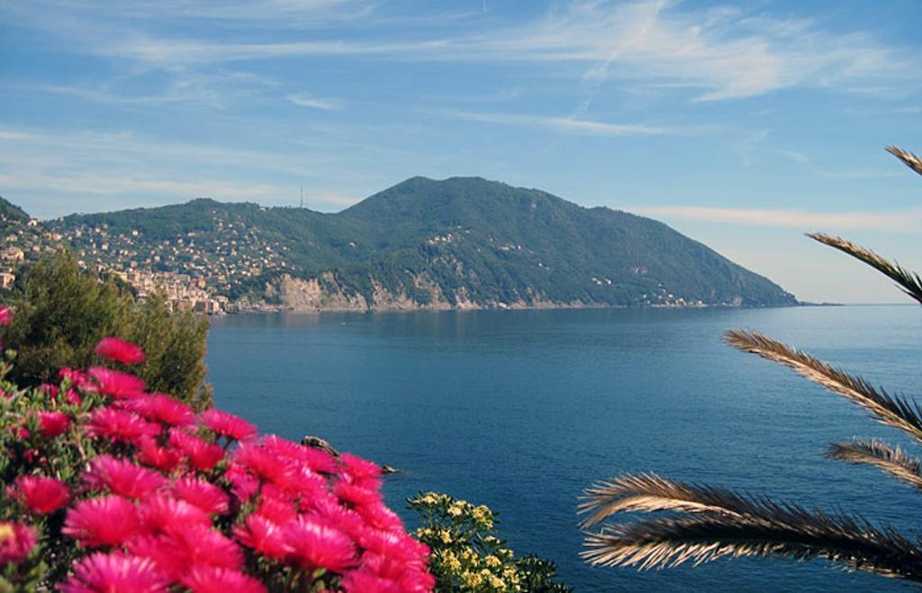 Hotel Elena Recco Bagian luar foto
